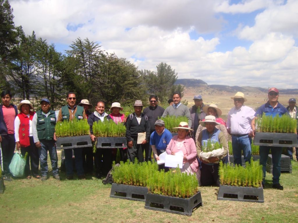 Puno Minagri participa en proyecto de reforestación para mejorar