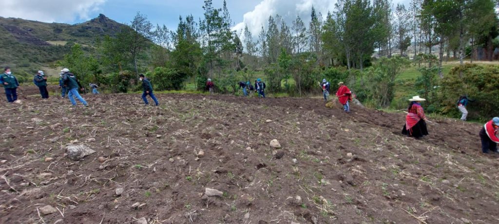 Midagri Lanz Campa A Oficial De Siembra De Pastos Que Dinamizar